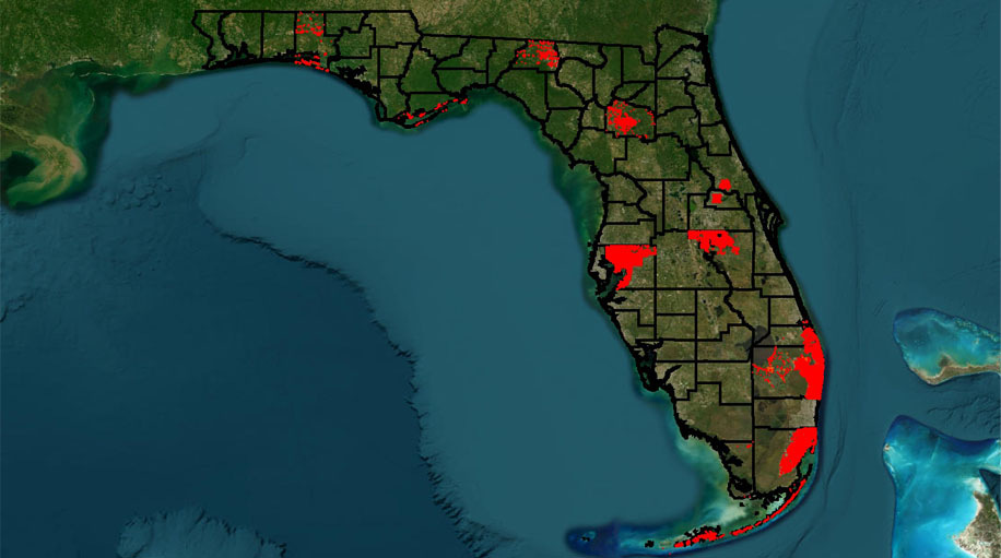 Florida property data verification map